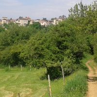 Mont d’or